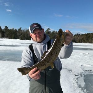 Meet your Posher, Gregory